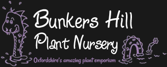 Bunkers Hill Plant Nursery