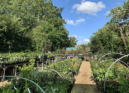 Bunkers Hill Plant Nursery: Plant Nursery