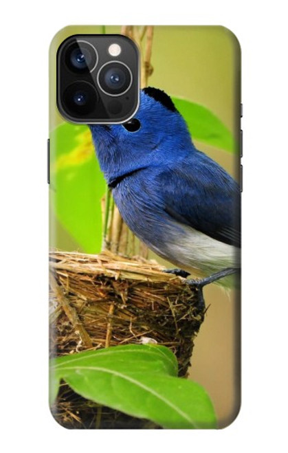 W3839 Bluebird of Happiness Blue Bird Hard Case and Leather Flip Case For iPhone 12, iPhone 12 Pro