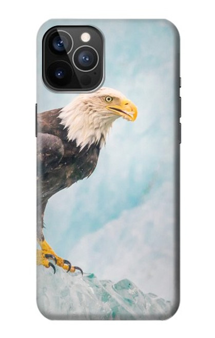 W3843 Bald Eagle On Ice Hard Case and Leather Flip Case For iPhone 12, iPhone 12 Pro