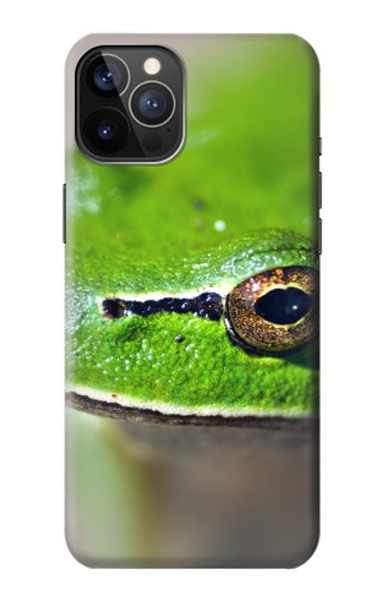 W3845 Green frog Hard Case and Leather Flip Case For iPhone 12, iPhone 12 Pro