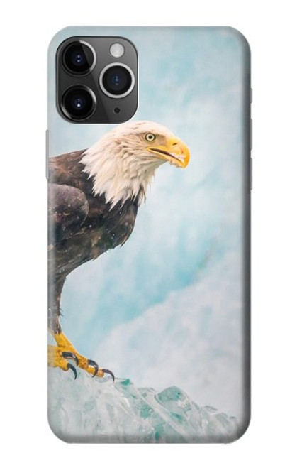 W3843 Bald Eagle On Ice Hard Case and Leather Flip Case For iPhone 11 Pro