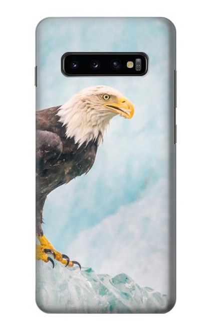 W3843 Bald Eagle On Ice Hard Case and Leather Flip Case For Samsung Galaxy S10 Plus