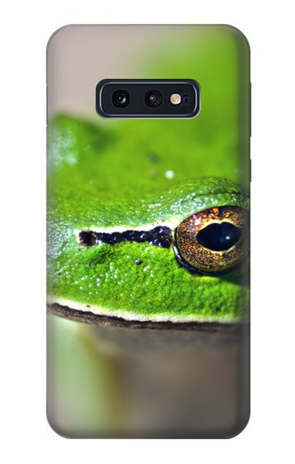 W3845 Green frog Hard Case and Leather Flip Case For Samsung Galaxy S10e