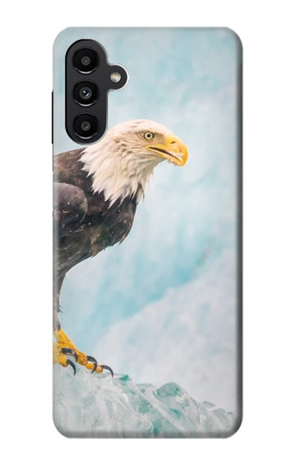 W3843 Bald Eagle On Ice Hard Case and Leather Flip Case For Samsung Galaxy A13 5G