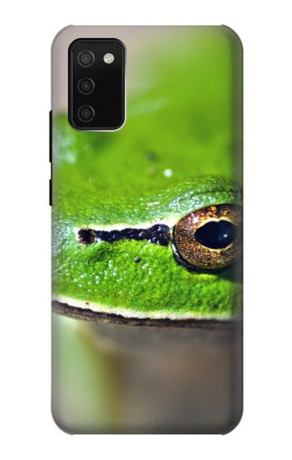 W3845 Green frog Hard Case and Leather Flip Case For Samsung Galaxy A02s, Galaxy M02s  (NOT FIT with Galaxy A02s Verizon SM-A025V)