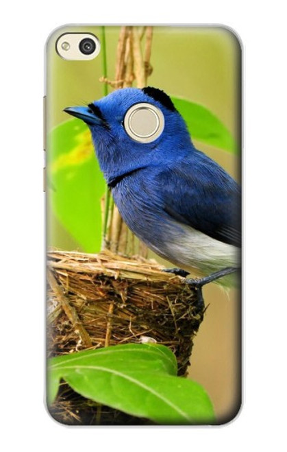 W3839 Bluebird of Happiness Blue Bird Hard Case and Leather Flip Case For Huawei P8 Lite (2017)