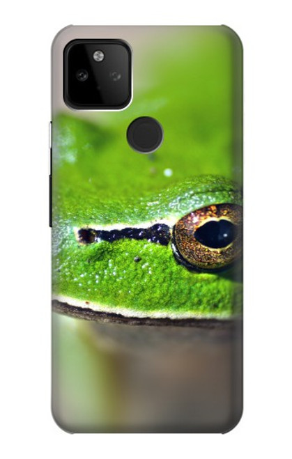 W3845 Green frog Hard Case and Leather Flip Case For Google Pixel 5A 5G