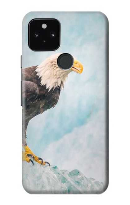 W3843 Bald Eagle On Ice Hard Case and Leather Flip Case For Google Pixel 5