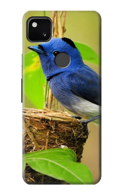 W3839 Bluebird of Happiness Blue Bird Hard Case and Leather Flip Case For Google Pixel 4a