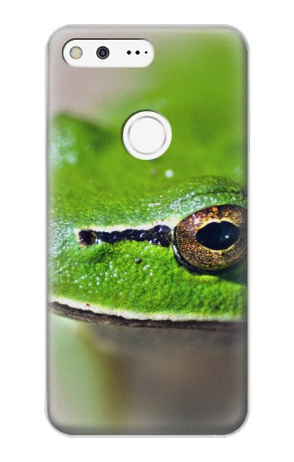 W3845 Green frog Hard Case and Leather Flip Case For Google Pixel XL