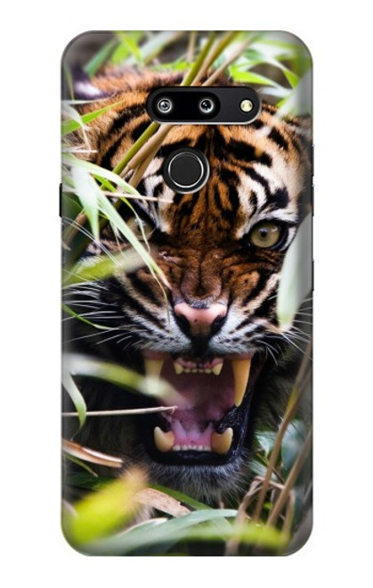 W3838 Barking Bengal Tiger Hard Case and Leather Flip Case For LG G8 ThinQ