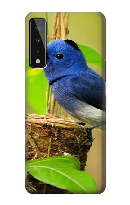W3839 Bluebird of Happiness Blue Bird Hard Case and Leather Flip Case For LG Stylo 7 5G