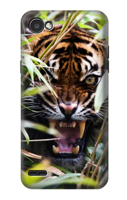W3838 Barking Bengal Tiger Hard Case and Leather Flip Case For LG Q6
