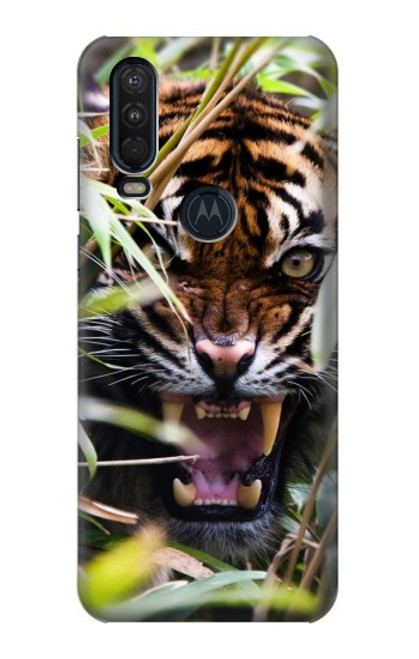 W3838 Barking Bengal Tiger Hard Case and Leather Flip Case For Motorola One Action (Moto P40 Power)