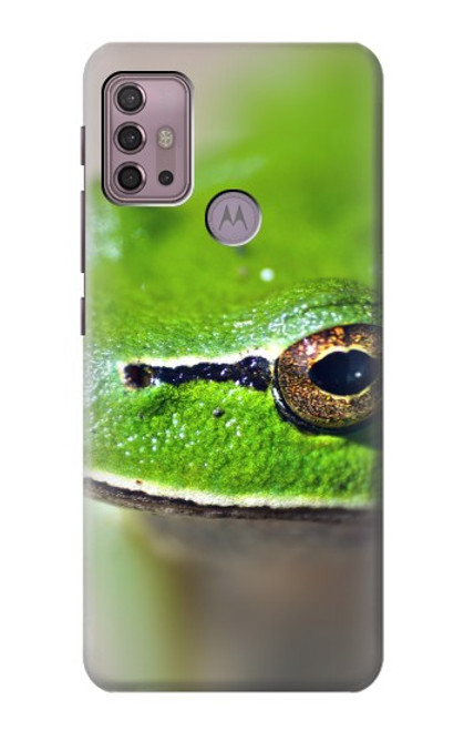 W3845 Green frog Hard Case and Leather Flip Case For Motorola Moto G30, G20, G10