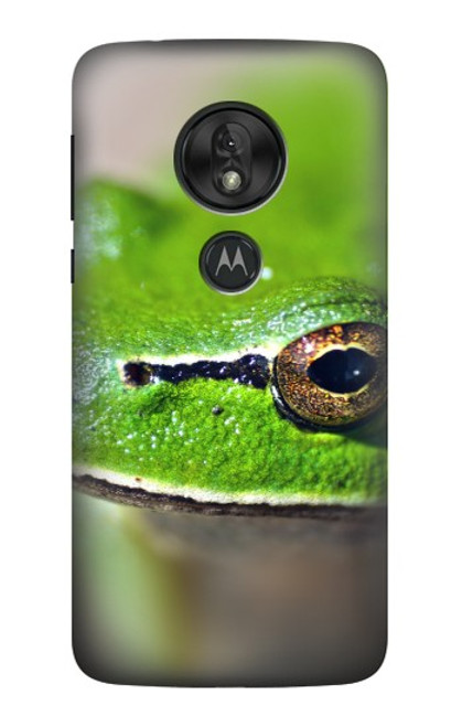 W3845 Green frog Hard Case and Leather Flip Case For Motorola Moto G7 Play