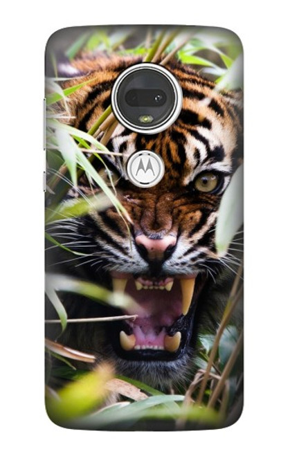 W3838 Barking Bengal Tiger Hard Case and Leather Flip Case For Motorola Moto G7, Moto G7 Plus