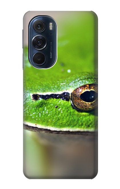 W3845 Green frog Hard Case and Leather Flip Case For Motorola Edge X30