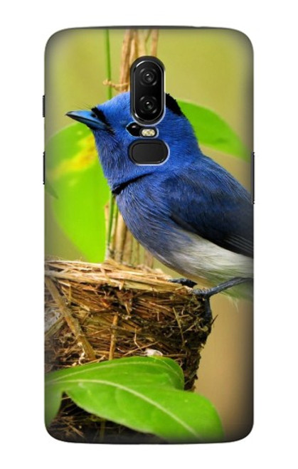 W3839 Bluebird of Happiness Blue Bird Hard Case and Leather Flip Case For OnePlus 6