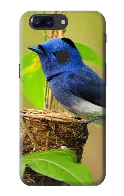 W3839 Bluebird of Happiness Blue Bird Hard Case and Leather Flip Case For OnePlus 5T