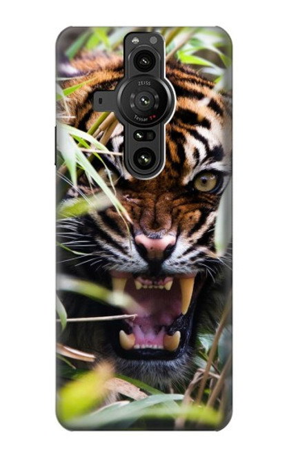 W3838 Barking Bengal Tiger Hard Case and Leather Flip Case For Sony Xperia Pro-I