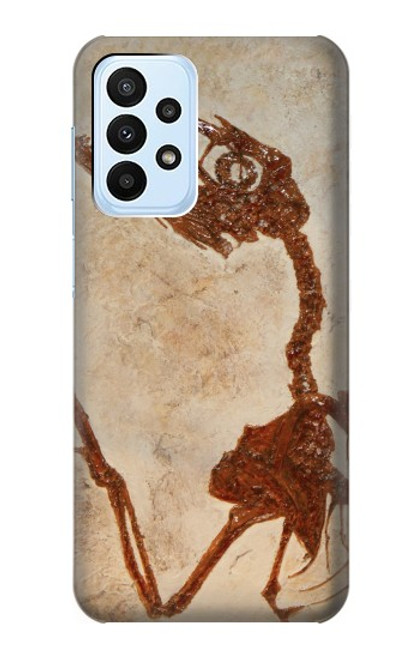 W0379 Dinosaur Fossil Hard Case and Leather Flip Case For Samsung Galaxy A23