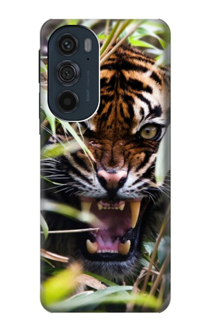 W3838 Barking Bengal Tiger Hard Case and Leather Flip Case For Motorola Edge 30 Pro