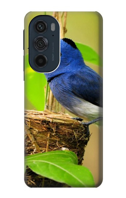 W3839 Bluebird of Happiness Blue Bird Hard Case and Leather Flip Case For Motorola Edge 30 Pro