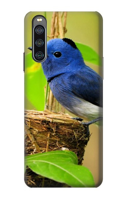 W3839 Bluebird of Happiness Blue Bird Hard Case and Leather Flip Case For Sony Xperia 10 IV