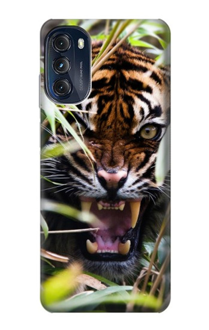 W3838 Barking Bengal Tiger Hard Case and Leather Flip Case For Motorola Moto G (2022)