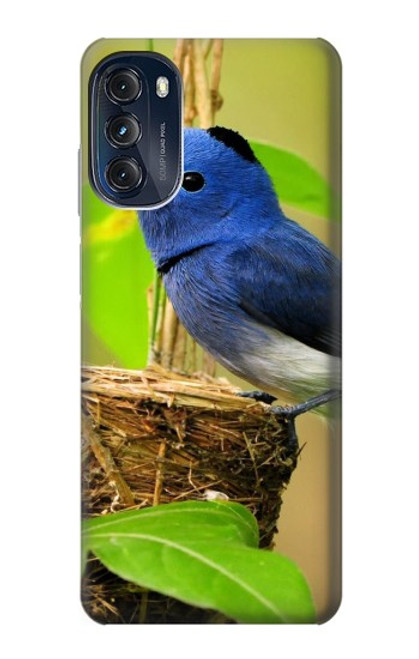 W3839 Bluebird of Happiness Blue Bird Hard Case and Leather Flip Case For Motorola Moto G (2022)