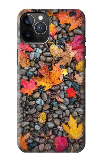 W3889 Maple Leaf Hard Case and Leather Flip Case For iPhone 12, iPhone 12 Pro