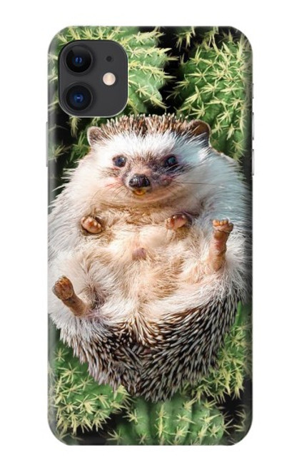 W3863 Pygmy Hedgehog Dwarf Hedgehog Paint Hard Case and Leather Flip Case For iPhone 11