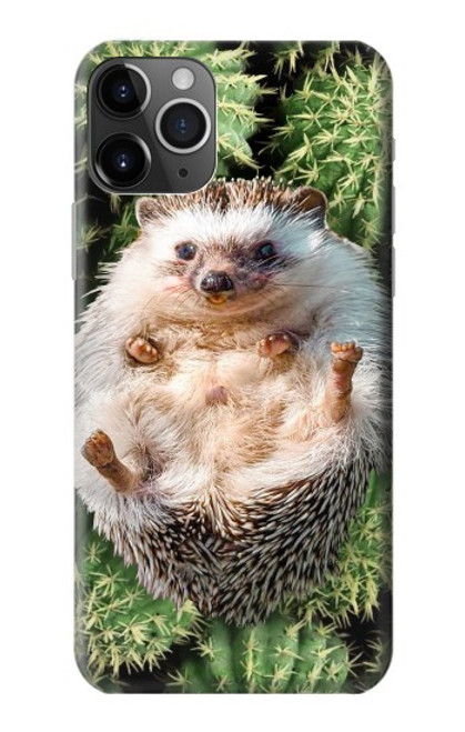 W3863 Pygmy Hedgehog Dwarf Hedgehog Paint Hard Case and Leather Flip Case For iPhone 11 Pro