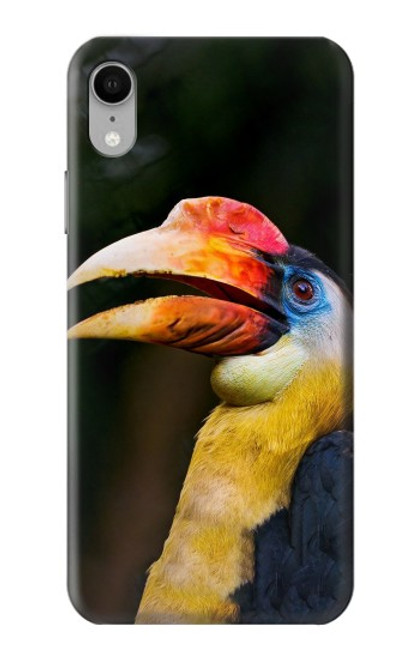 W3876 Colorful Hornbill Hard Case and Leather Flip Case For iPhone XR