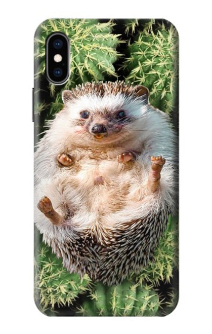 W3863 Pygmy Hedgehog Dwarf Hedgehog Paint Hard Case and Leather Flip Case For iPhone X, iPhone XS