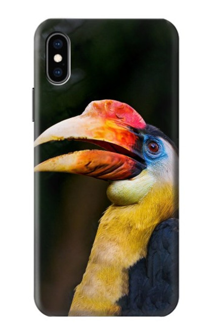W3876 Colorful Hornbill Hard Case and Leather Flip Case For iPhone X, iPhone XS