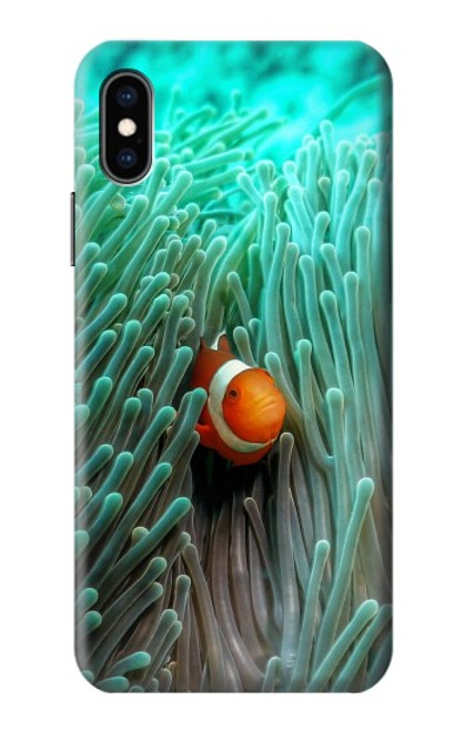 W3893 Ocellaris clownfish Hard Case and Leather Flip Case For iPhone X, iPhone XS