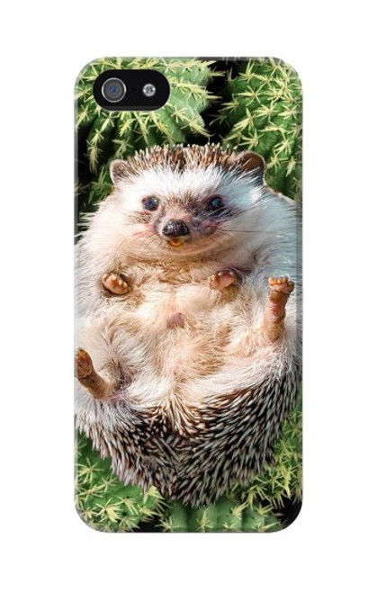 W3863 Pygmy Hedgehog Dwarf Hedgehog Paint Hard Case and Leather Flip Case For iPhone 5 5S SE