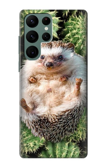 W3863 Pygmy Hedgehog Dwarf Hedgehog Paint Hard Case and Leather Flip Case For Samsung Galaxy S22 Ultra