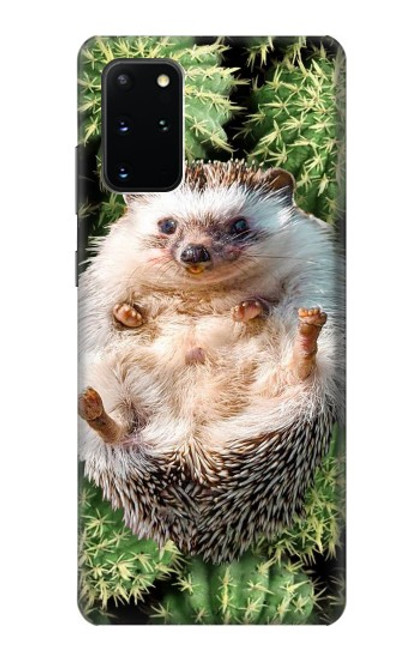 W3863 Pygmy Hedgehog Dwarf Hedgehog Paint Hard Case and Leather Flip Case For Samsung Galaxy S20 Plus, Galaxy S20+