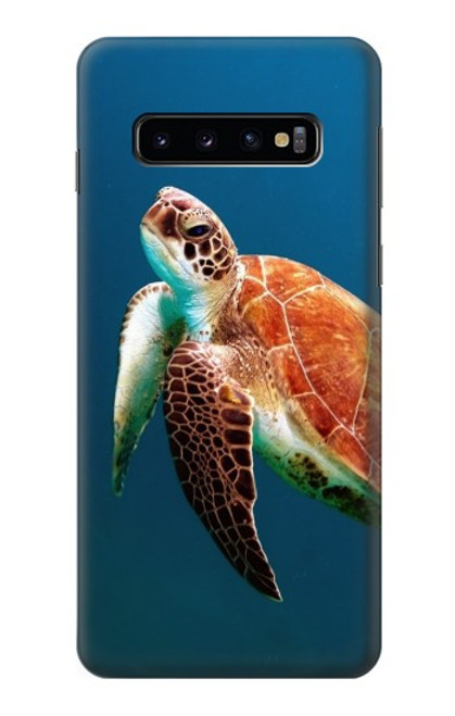 W3899 Sea Turtle Hard Case and Leather Flip Case For Samsung Galaxy S10