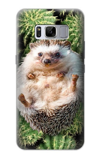 W3863 Pygmy Hedgehog Dwarf Hedgehog Paint Hard Case and Leather Flip Case For Samsung Galaxy S8 Plus