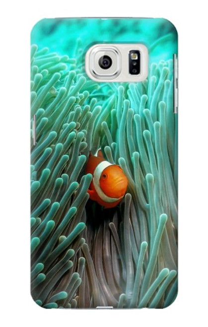 W3893 Ocellaris clownfish Hard Case and Leather Flip Case For Samsung Galaxy S7 Edge