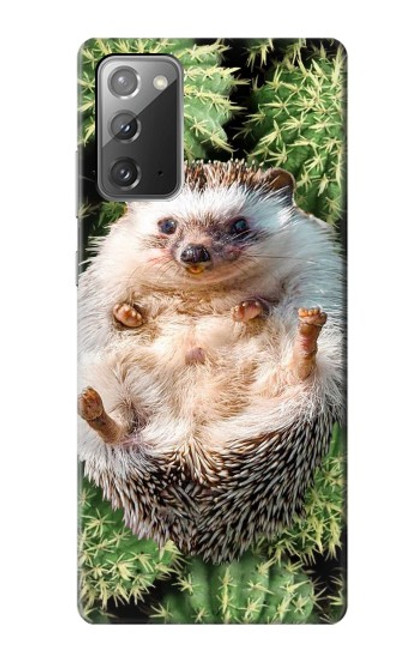 W3863 Pygmy Hedgehog Dwarf Hedgehog Paint Hard Case and Leather Flip Case For Samsung Galaxy Note 20