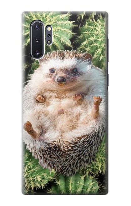 W3863 Pygmy Hedgehog Dwarf Hedgehog Paint Hard Case and Leather Flip Case For Samsung Galaxy Note 10 Plus