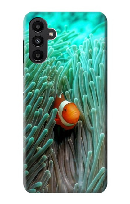 W3893 Ocellaris clownfish Hard Case and Leather Flip Case For Samsung Galaxy A13 5G