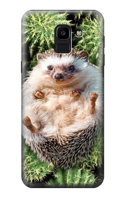 W3863 Pygmy Hedgehog Dwarf Hedgehog Paint Hard Case and Leather Flip Case For Samsung Galaxy J6 (2018)