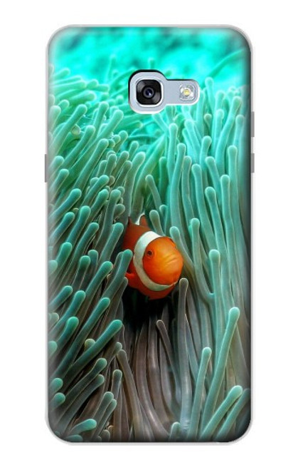W3893 Ocellaris clownfish Hard Case and Leather Flip Case For Samsung Galaxy A5 (2017)